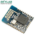 SKYLAB FCC CE  Ibeacon Keyboard Long Range Wireless Ble Mesh Nrf Bluetooth Module With Antenna